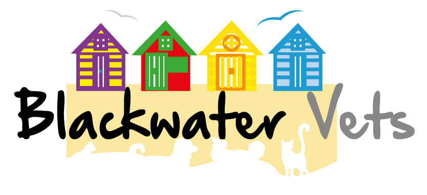 Blackwater Vets