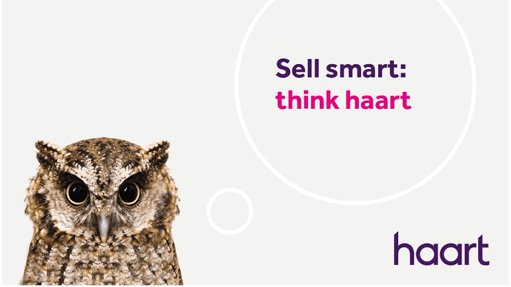 haart estate agents Colchester