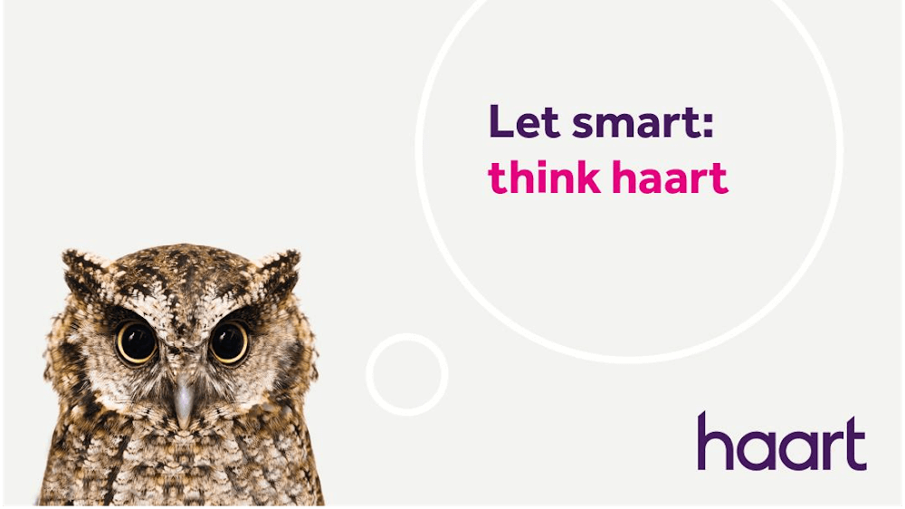 haart lettings agents Colchester (Lettings)