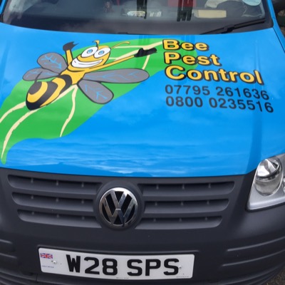 Bee Pest Control Tiptree