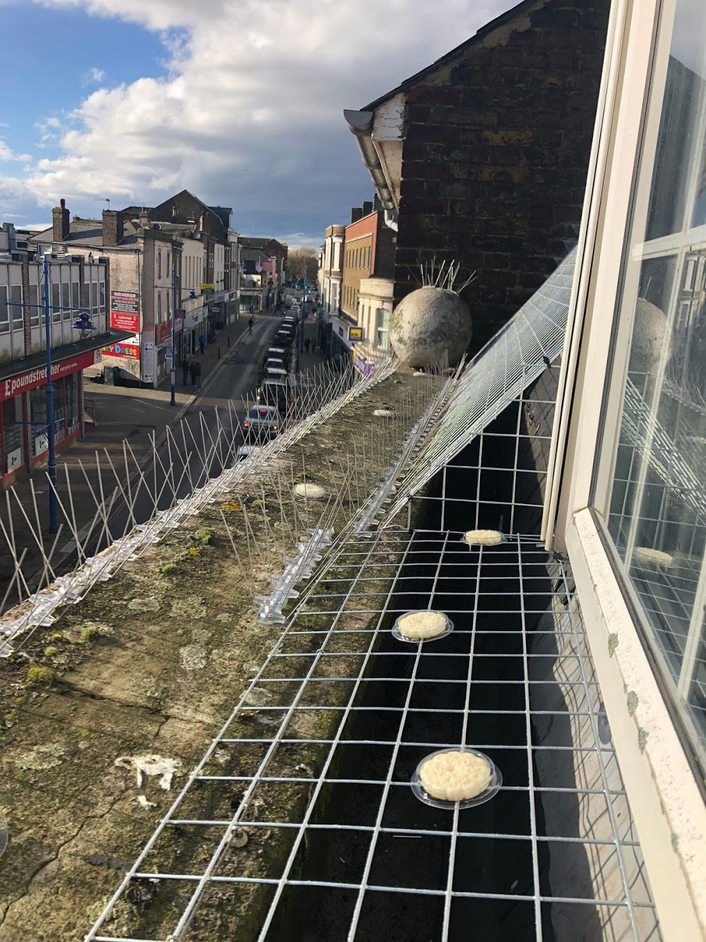 DGH Pest Control Services