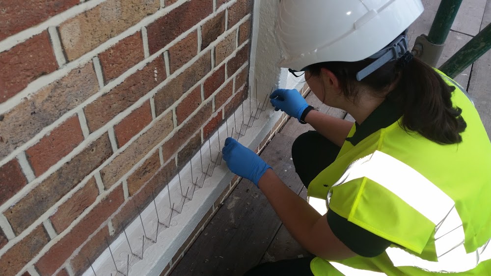 Pest Solution Ltd