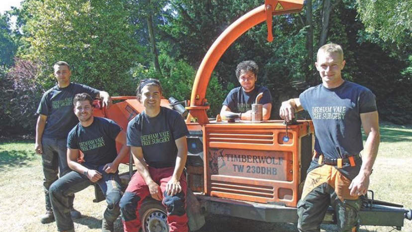 Dedham Vale Tree Surgery