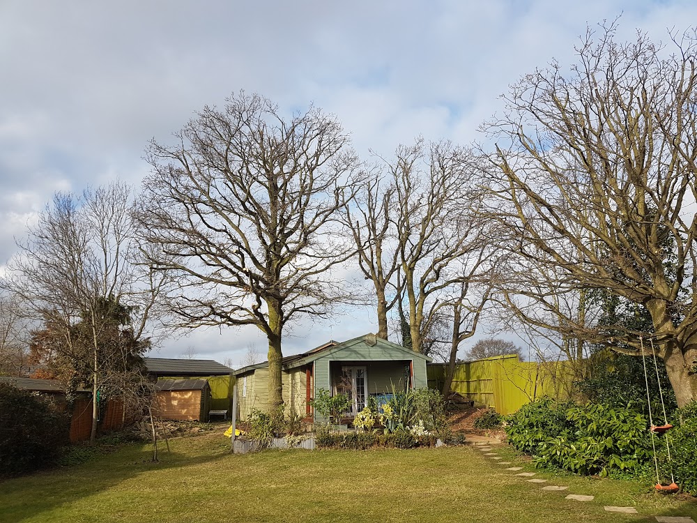 Walton’s tree services