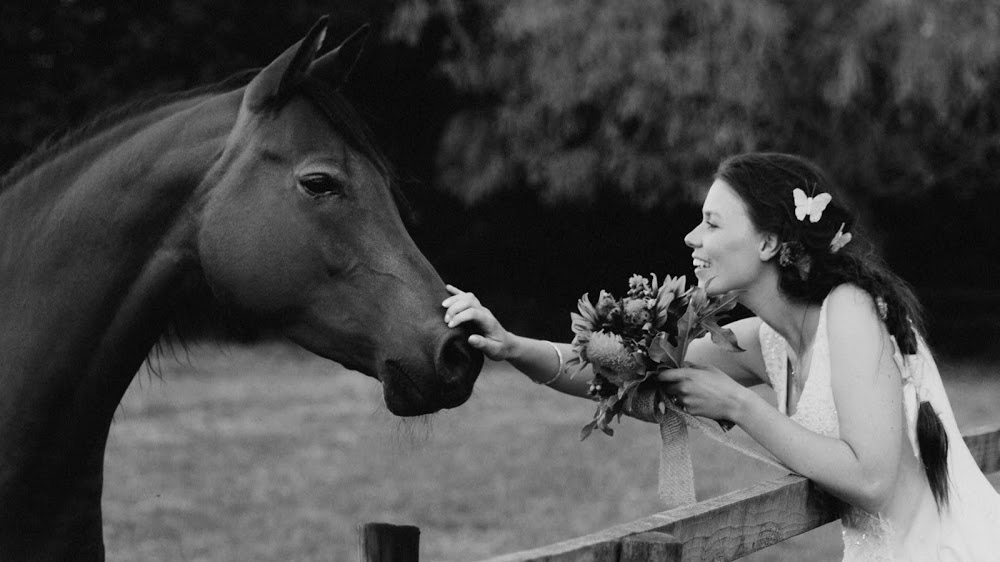 Chris Bradshaw Photography