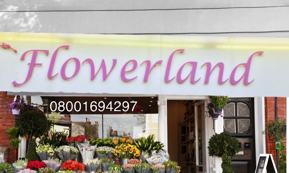 Flourishes Flowers