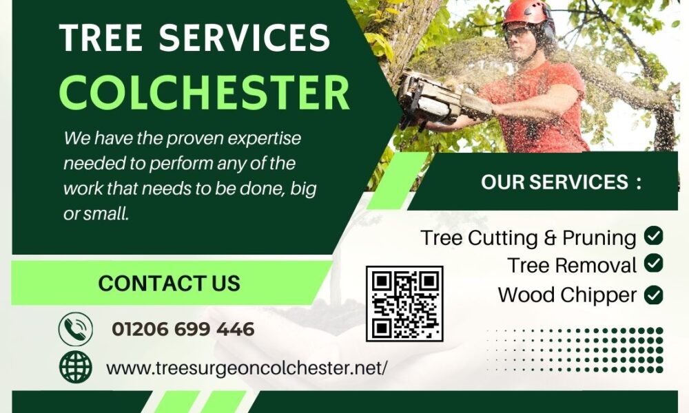 Tree Surgeon Colchester