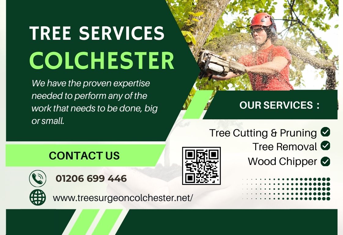 Colchester Tree Services