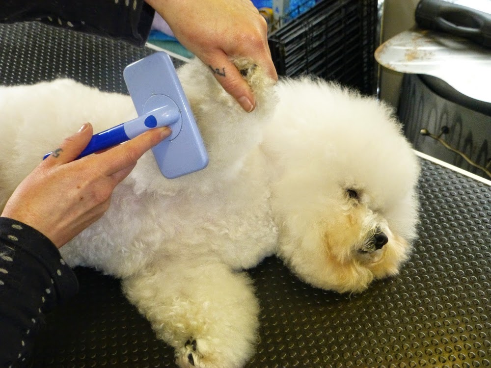 Deloto Dog Grooming