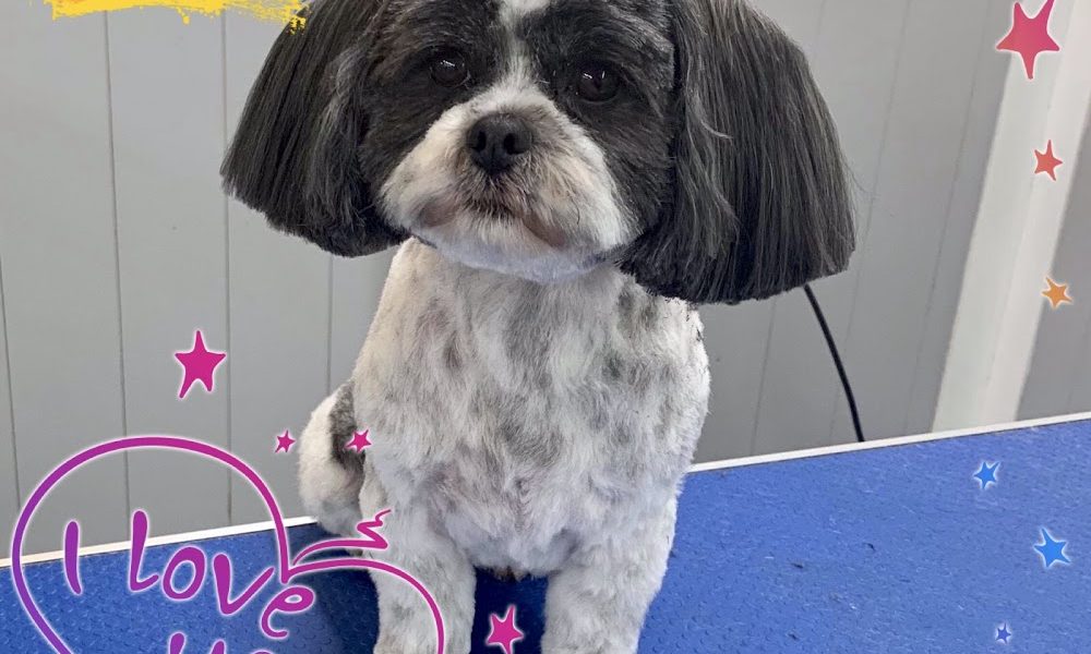 Muttley & Mabel Pet Groom,Spa and Doggy Deli