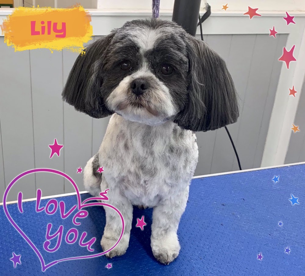 Muttley & Mabel Pet Groom,Spa and Doggy Deli