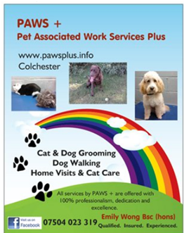 Paws Plus
