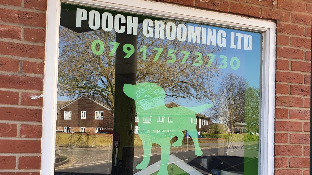 Pooch Grooming Ltd