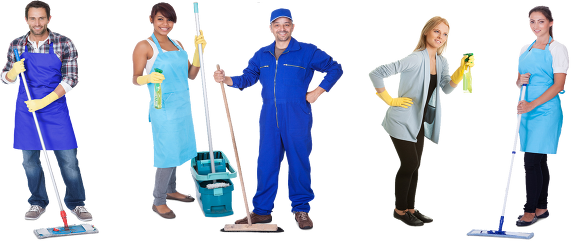 Mrs Busy Bees Ltd