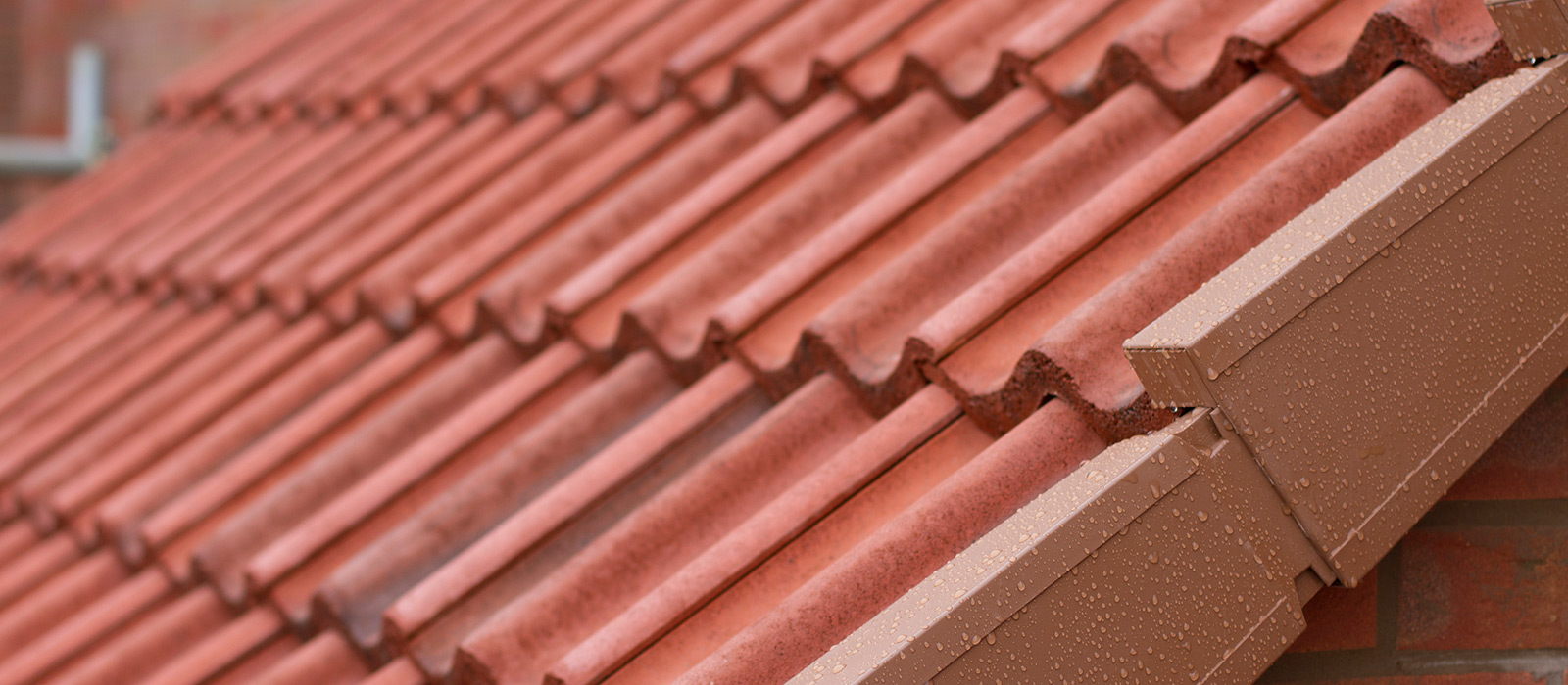 Schofield Roofing