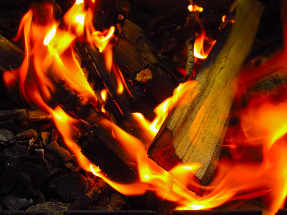 County Logs and Coal