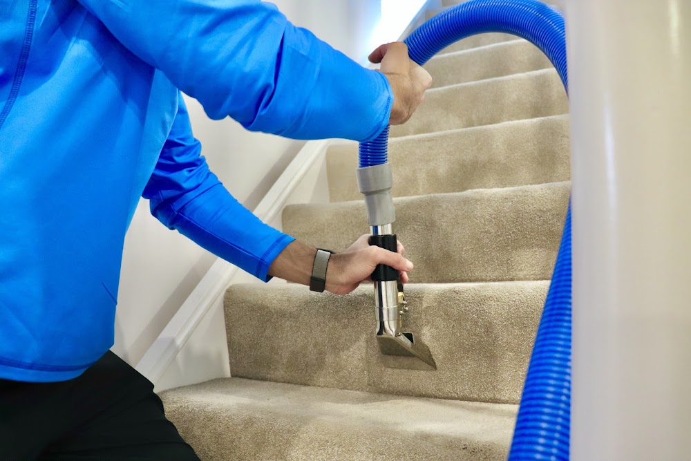 Revive Carpet & Floor Cleaning Services