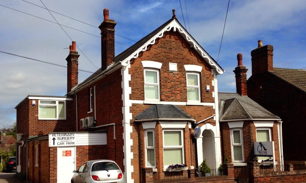 Mayne Veterinary Clinic Colchester